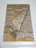 Tissue Stripe Sari with Golden Border