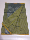 Tissue Stripe Sari with Golden Border